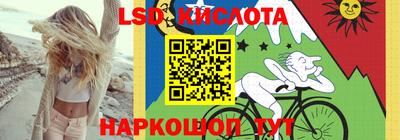 молекула духа Пугачёв