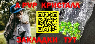 молекула духа Пугачёв